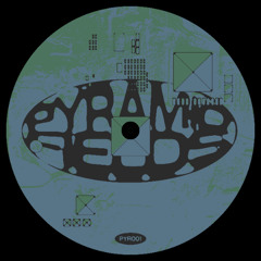 PREMIERE: Skinner - 'Geographic Breakdown' [Pyramid Fields]
