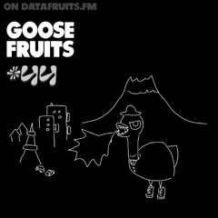 Goose Fruits 44: Guest Mix Satoruohno 6-28-2025