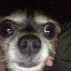 How I Wish It Could Be (prod W.falls)