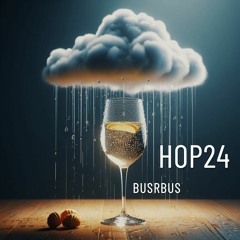 Hop24 Snap