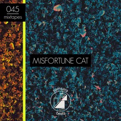 Samsara Beats Mixtapes | 045 | Misfortune Cat