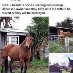 Never Knew Nothing Bout It