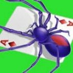 Spider Solitaire for PC - Play Anytime, Anywhere, No Internet Required