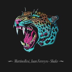 MartinoResi, Juan Ferreyro - Shake (Original Mix)