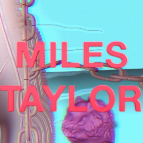 Stream Glass Animals Heat Waves (Miles Taylor Remix) by ciscokidmilo