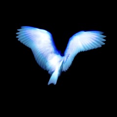 fade ⌞prod. Aloa⌝