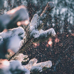 love without you (original) draft 1