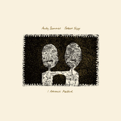 Andy Summers/Robert Fripp