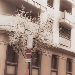 time flies.. (full album)