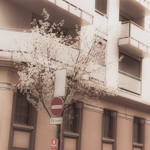 time flies.. (full album)