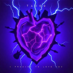 I Promise to Love You