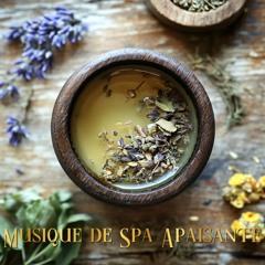 Brume et Calme au Spa