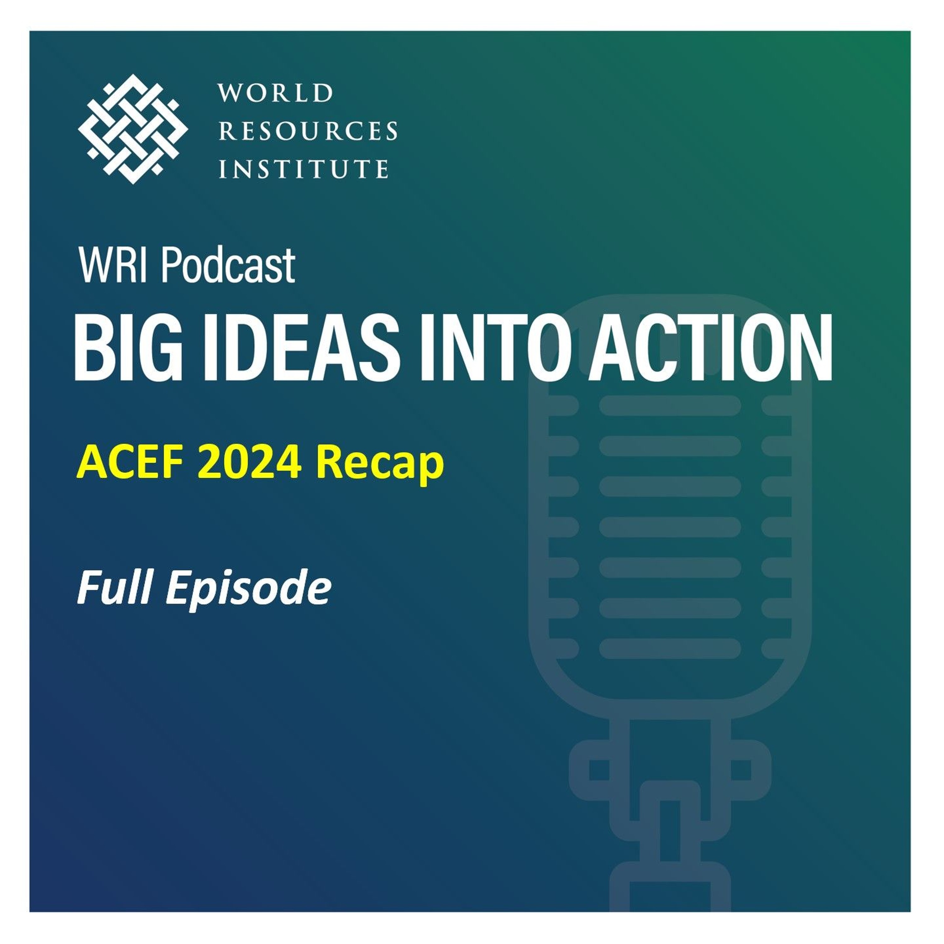 World Resources Institute Podcasts Plus