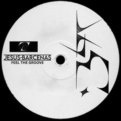 Feel The Groove - Jesus Barcenas