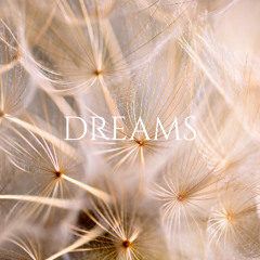 Kingdom Six - DREAMS