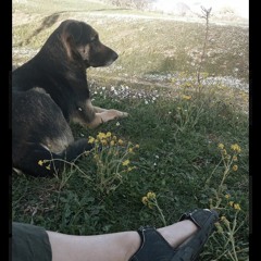 Deep Worries Of Hebe