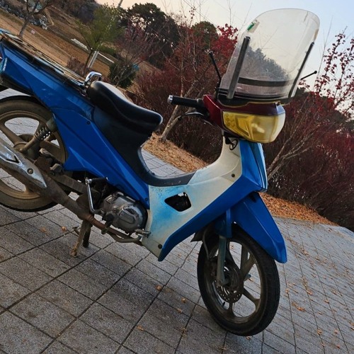 코요태 파란 speed up