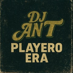 PLAYERO ERA Mix 2025 - DJ ANT