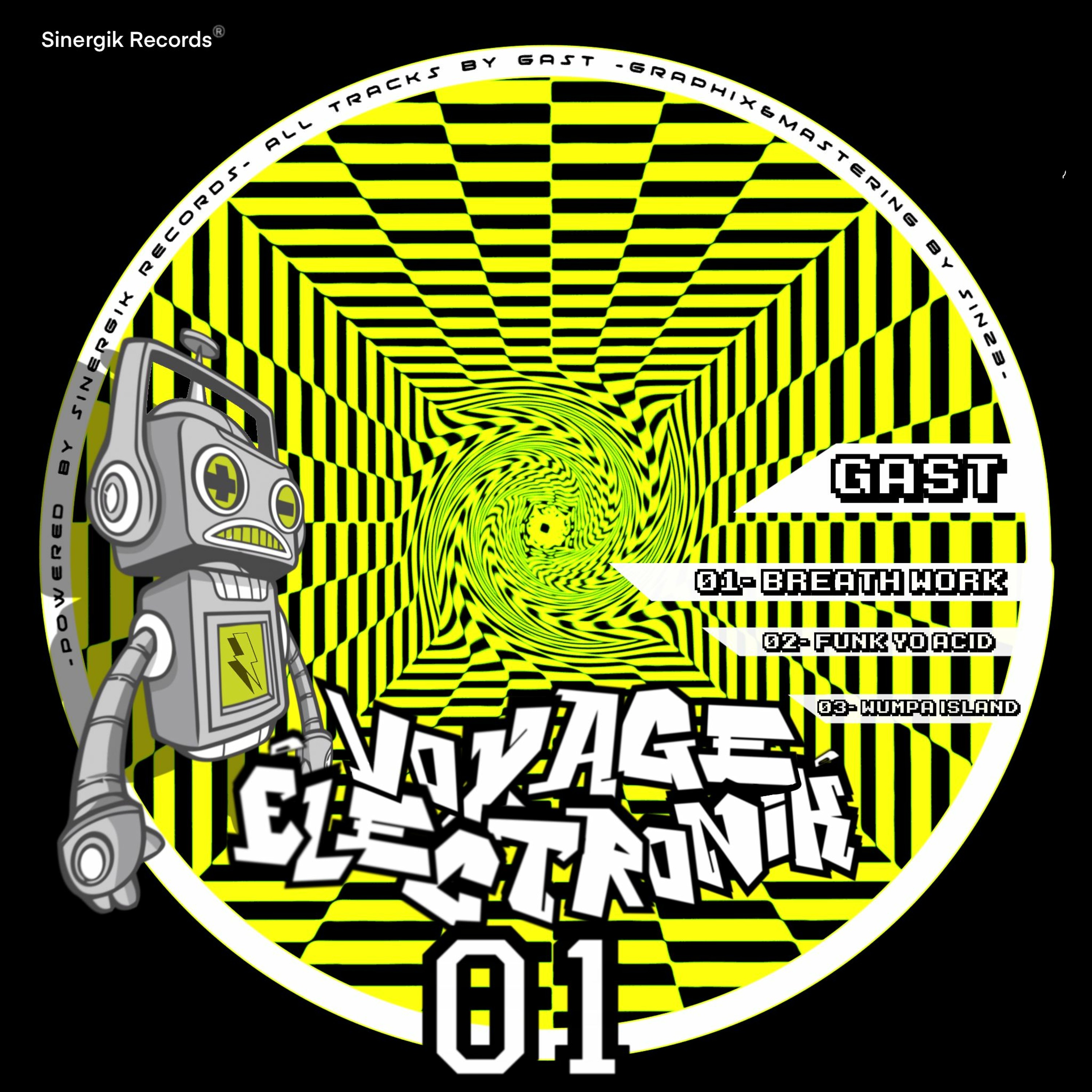 SINERGIK RECORDS ²³