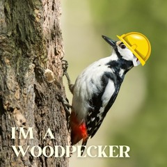 I'm A Woodpecker