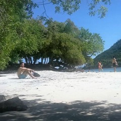 Birdsong (Eagles  Butterflies Remix)