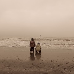 Fische Zählen Im Meere (Counting fish in the sea)
