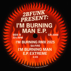 5 2B Funk pres. I’m burning man - Dj 2BF Bum Bum conga Mix