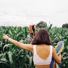 Corn Fields Mix