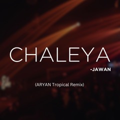 Chaleya - Jawan (ARYAN Remix)