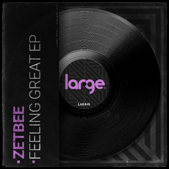 Zetbee - Burning Up