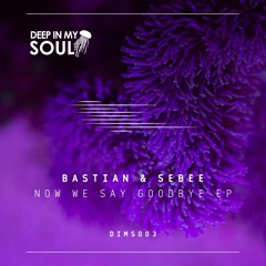 Bastian, Sebee - Now We Say Goodbye (Original Mix)