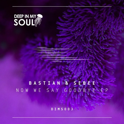Bastian, Sebee - Now We Say Goodbye (Sebee Remix) Snippet
