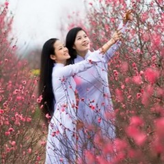 Xuân Đến Lạ HM Remix  Thiên Tú  Nhạc Xuân Remix Hot TikTok Hay Nhất Hiện Nay 2022 320kbps