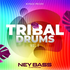 Ney Bass Tribal Drums Vol.1  (Free Download)