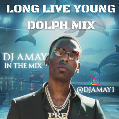 YOUNG DOLPH TRIBUTE MIX - DJ AMAY