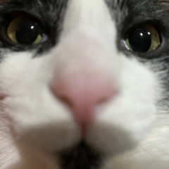 wave to earth / Daniel 다니엘 - 은방울 [AI Cover]