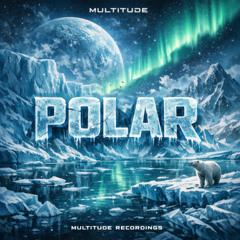 MULTITUDE - POLAR - [MULTITUDE RECORDINGS]