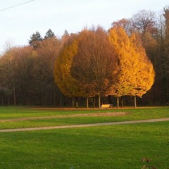 Kuschelrock 1 mixed by dj maikl