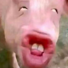 gonorrhea and jaudice