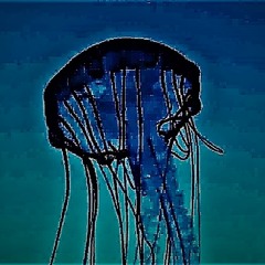 hohtaa {Disquiet0455}