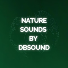 AmbientFlow