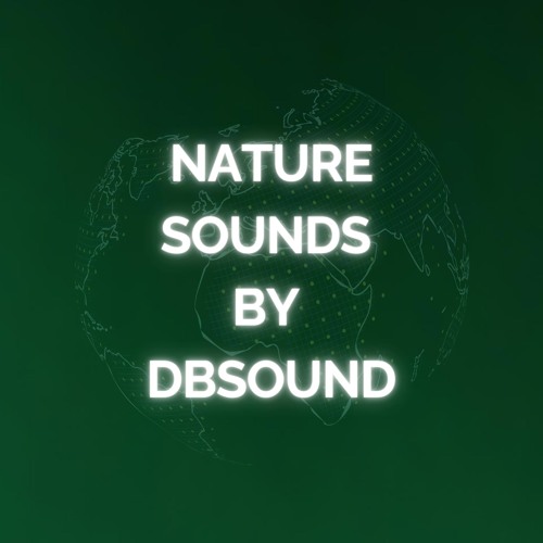 AmbientFlow