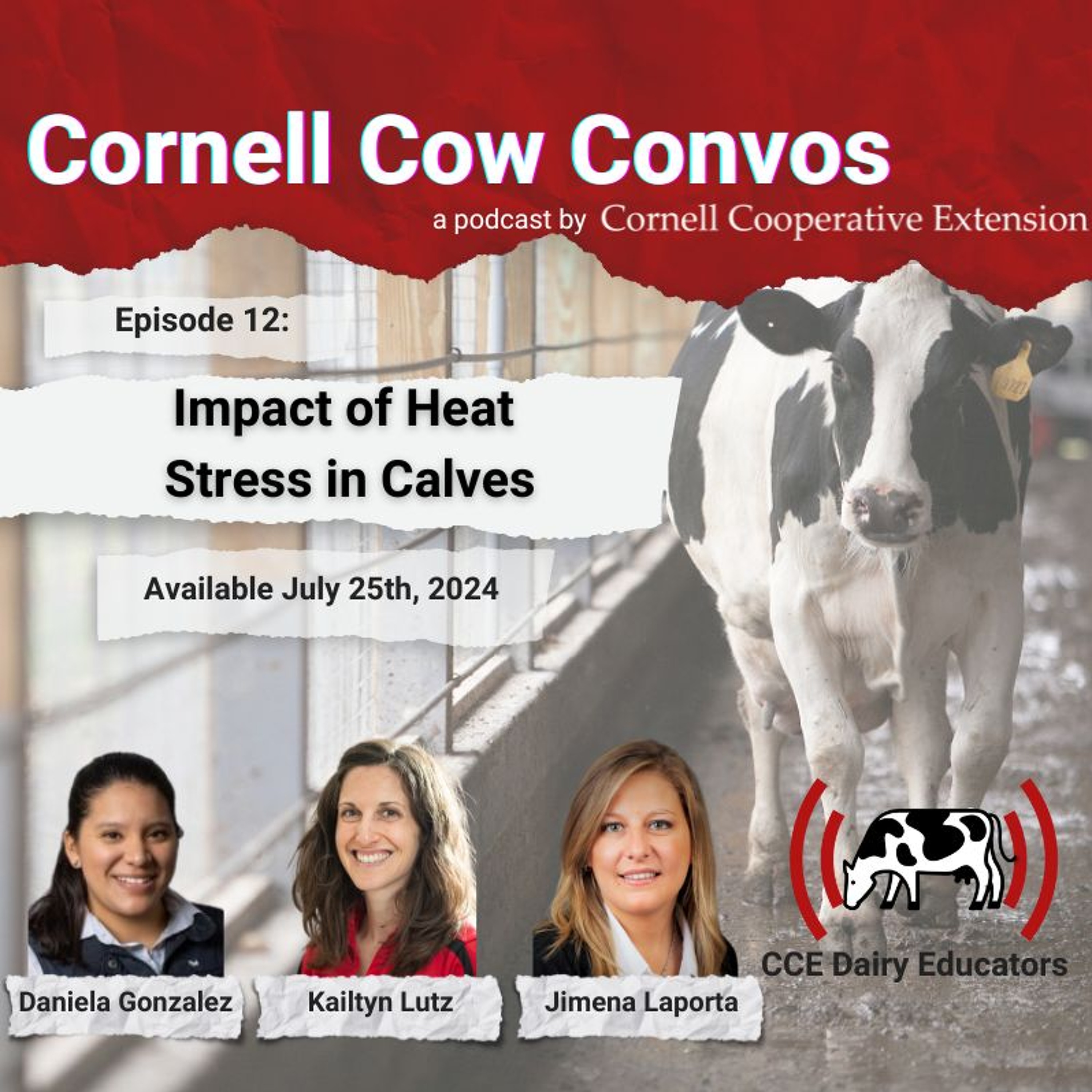 CCE DAIRY EDUCATORS