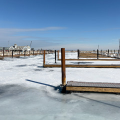 spring birding in eastlake