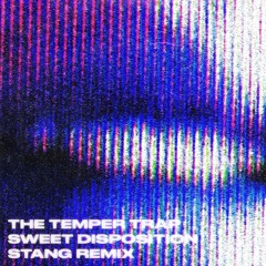 The Temper Trap - Sweet Disposition (Stang Remix)