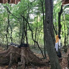 Musique Électronique en Milieu Forestier w/ BlachBlachTer