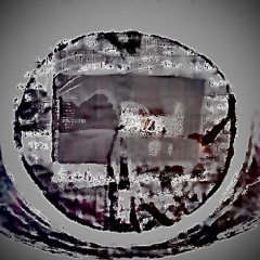 A Brief Introduction to Riddem