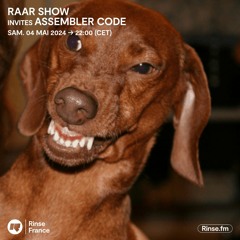 The RAAR Show invites Assembler Code - 04 Mai 2024