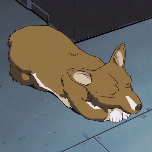 sleepin