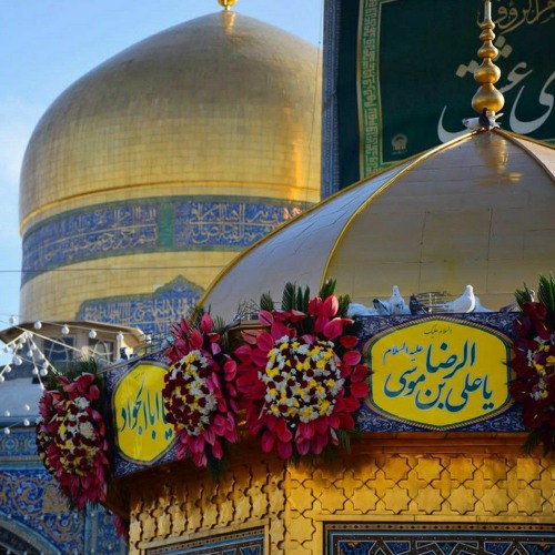 سلطان الحنين | محمد غلوم